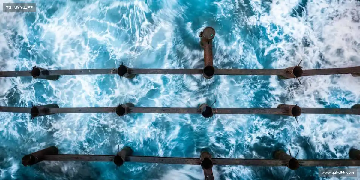 行业领先的理由